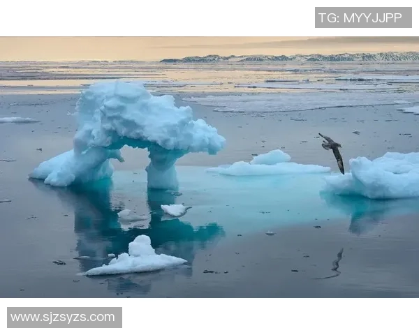 全球气候变化加剧 专家预测未来十年极端天气事件将增多