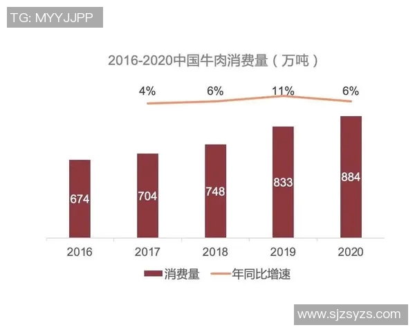 西安极限运动队中路突破的背后故事与发展趋势解析
