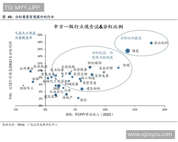 南京飞盘队的成功运营模式与发展策略深度解析